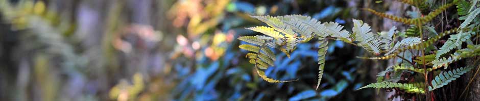 開発環境設定ブログ